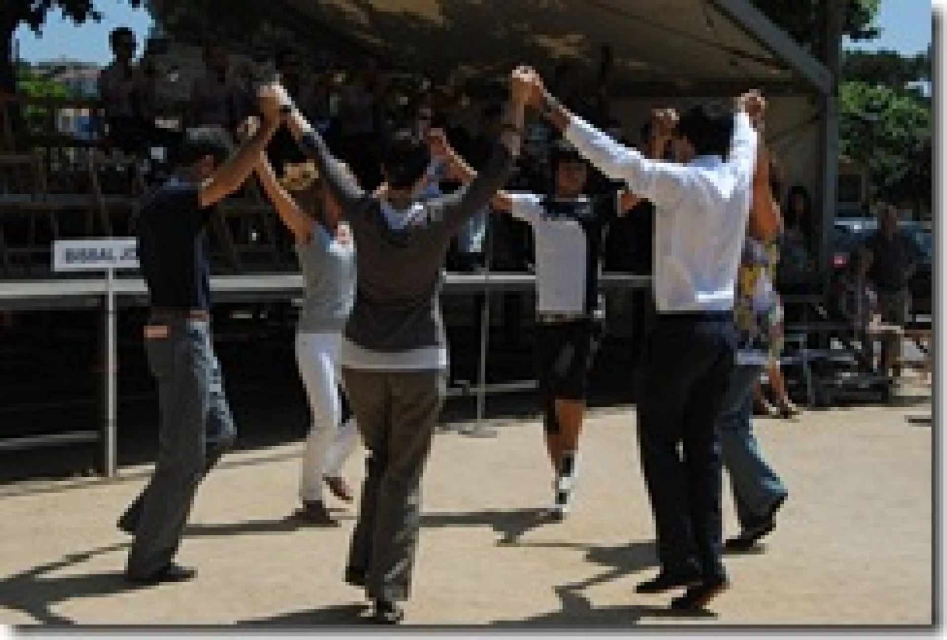 5576 aplec sardanes 2011